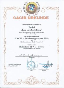CACIB Bundessieger 2019